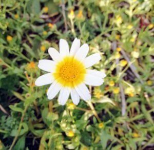 november_crete