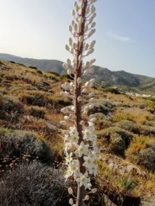 october_nature